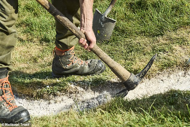 Volunteers and staff restore 180-foot Cerne Abbas Giant with 17 tonnes of chalk.