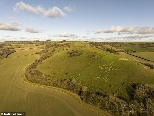 Volunteers and staff restore 180-foot Cerne Abbas Giant with 17 tonnes of chalk.
