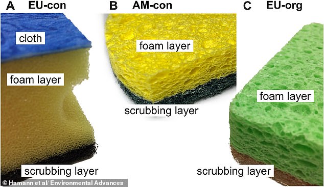 Kitchen sponges shed millions of microplastics onto dishes and into wastewater.
