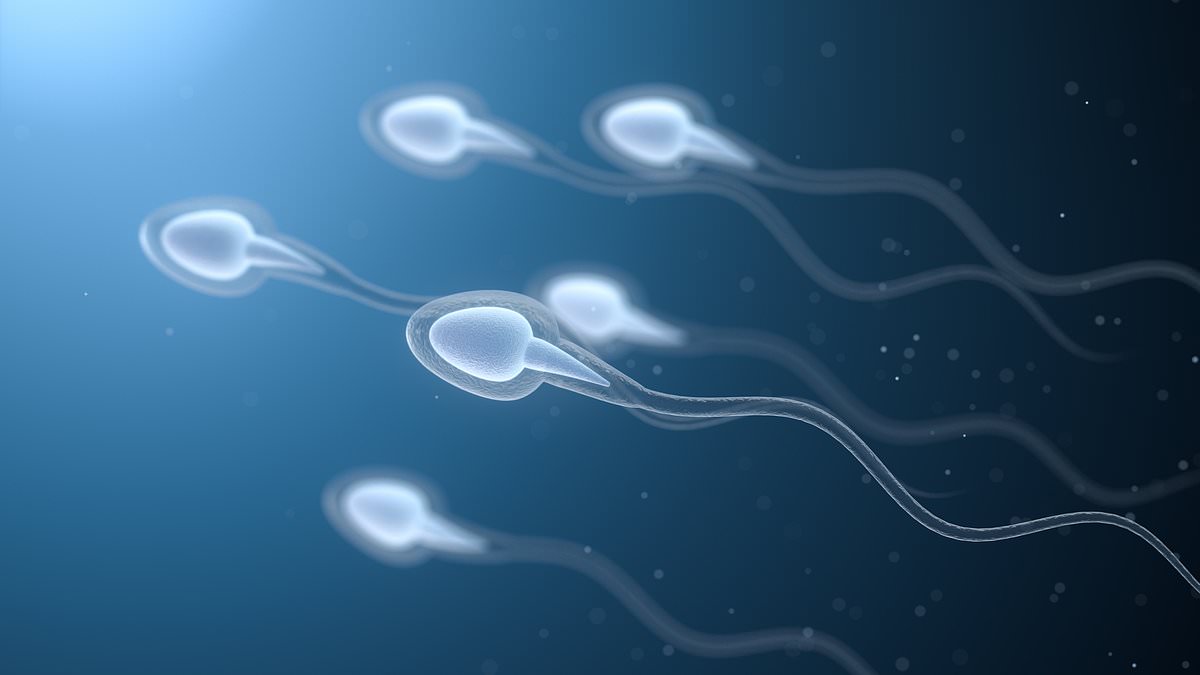 New 15-minute home test reveals male fertility status instantly using pandemic-era tech.