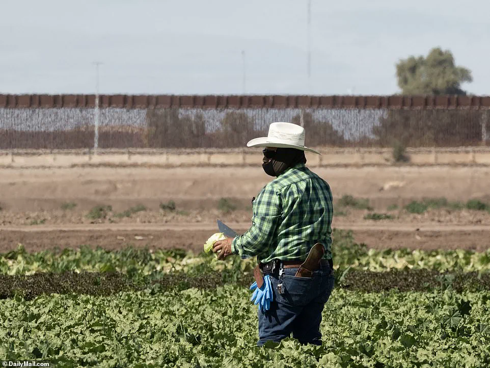 Border Patrol Thwarts Impersonation Attempt by 'Coyotes' Smuggling Migrants