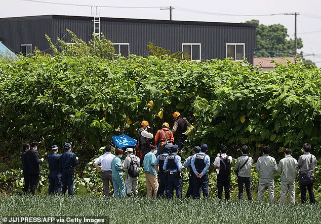 Japan's Bear Hunting Policy: A Response to Human-Wildlife Conflicts