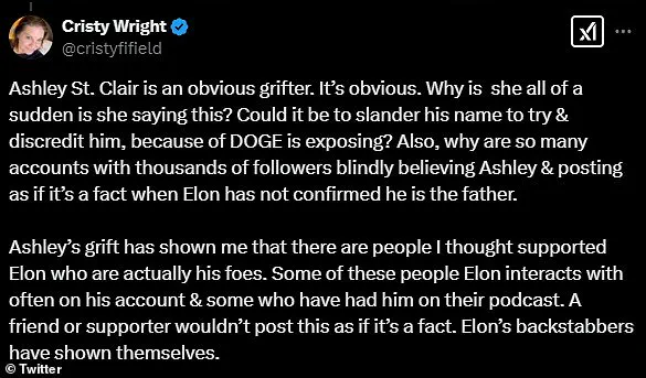 MAGA Influencers React to Elon Musk Fatherhood Scandal