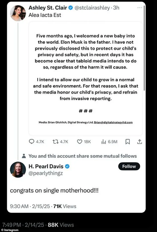 MAGA Influencers React to Elon Musk Fatherhood Scandal