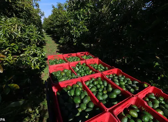 Mexico Retaliates in Trade War with US