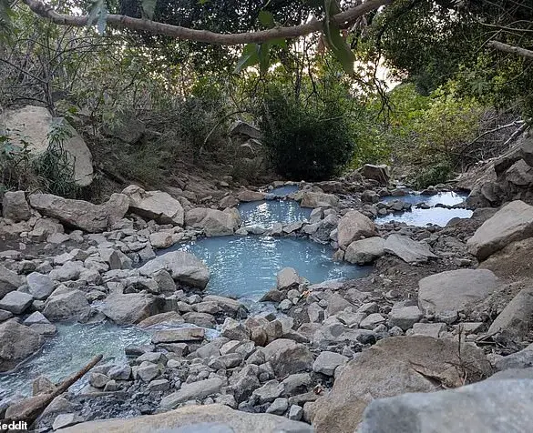 The Dark Side of Social Media: When a tranquil community becomes a tourist trap