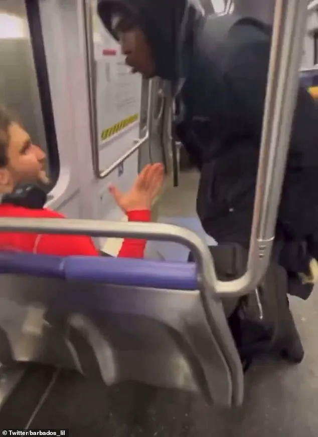 Thief on the DC Metro: A Brazen Display of Crime