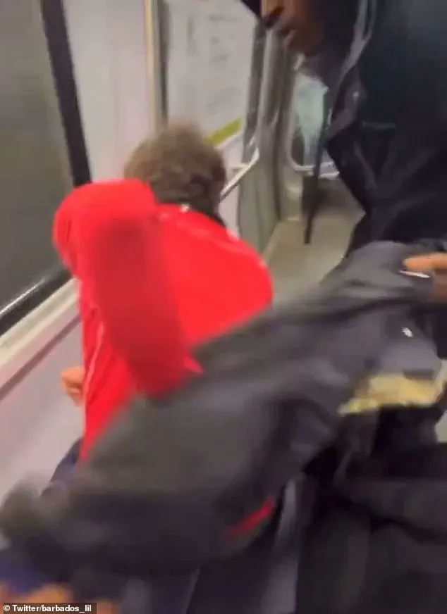 Thief on the DC Metro: A Brazen Display of Crime