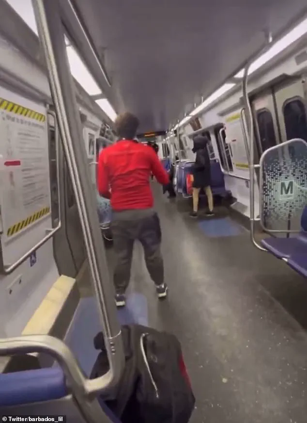 Thief on the DC Metro: A Brazen Display of Crime