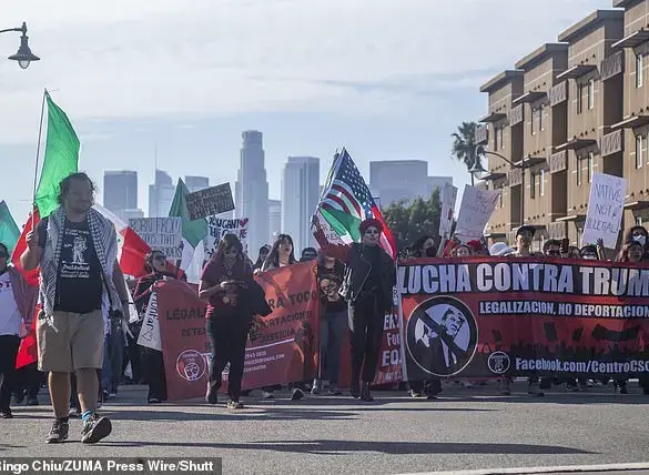 Tom Homan on Immigration: Arrests Are Up, But So Are Challenges