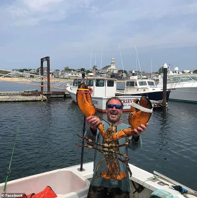 Whale attack: A Massachusetts diver's story vindicated by a Chilean kayak incident