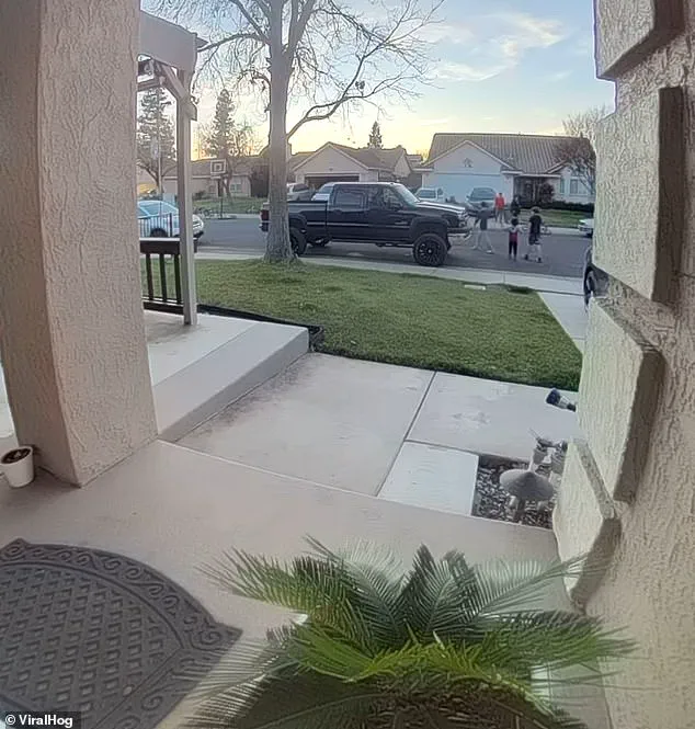 Adorable Doorbell Cam Apology Goes Viral