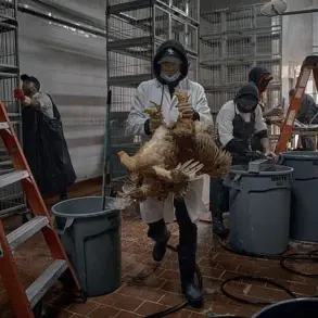 Bird Flu: Quammen's Concerns and Wet Markets