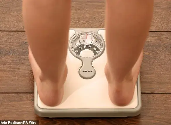 British children are now the fattest in Europe