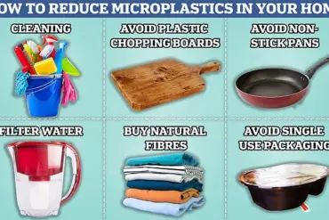 Microplastics in Water Linked to Mental and Physical Disabilities