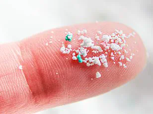 Microplastics in Water Linked to Mental and Physical Disabilities