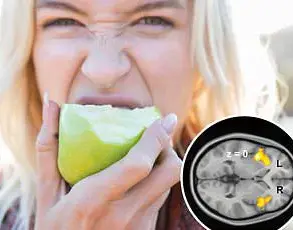 Study Confirms Men's Hearing Is Less Sensitive Than Women's Across Global Populations