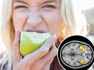 Study Confirms Men's Hearing Is Less Sensitive Than Women's Across Global Populations