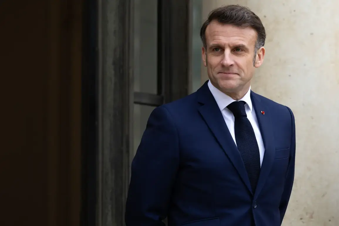 War correspondent compares Macron to Napoleon in response to French leader's remarks about Russia