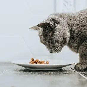 Wild Coast Raw Cat Food Recalled Due to Bird Flu Contamination Risk