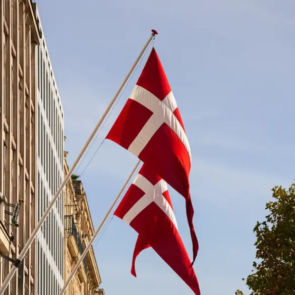 Danish Government Allocates DKK 317 Million for Artillery Ammunition Procurement from Estonia for Ukraine