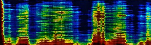 Egyptian Pyramids Debate Heats Up: New Claims of Ancient Chambers and Cities Below Surface
