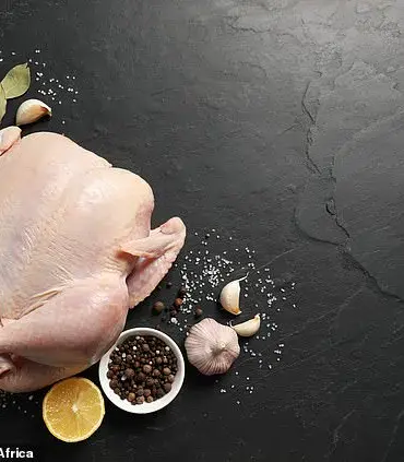 Exclusive Report: Chicken Consumption Doubles Risk of Eleven Types of Cancer, Experts Warn