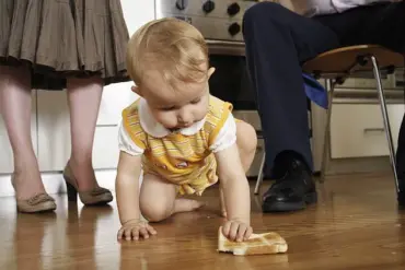Exclusive: Senior Analyst's Video Reveals Truth Behind the 'Five Second Rule'