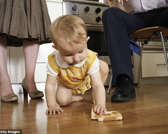 Exclusive: Senior Analyst's Video Reveals Truth Behind the 'Five Second Rule'