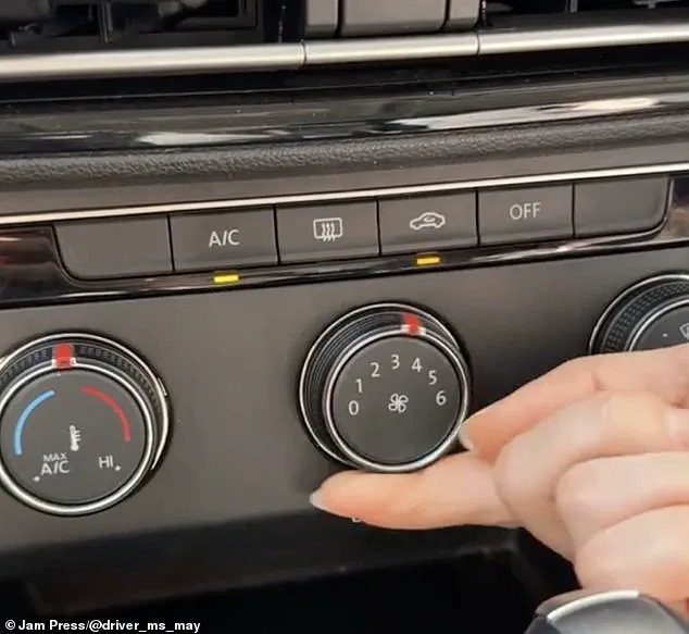 Exclusive Tip from TikTok's Ms. May: Cool Down Your Car Naturally Before Cranking AC