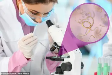 From Chronic Illness to Vibrant Life: Kyla Fuller's Journey Back from Severe Crohn's Disease