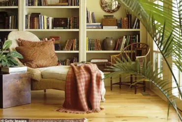 Harvard Doctor Warns of Hidden Toxins in Your Home: The Dangers of Wearing Shoes Indoors