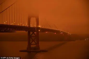 Harvard Scientists Warn: Air Pollution from Wildfires Linked to Mental Health Crisis