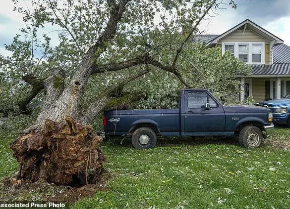 New Jersey Wildfire Foreshadows Coming Surge in National Blazes for 2025