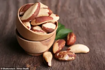 Regulatory Alert: Brazil Nuts Linked to Rising Cancer Rates Among Young Americans