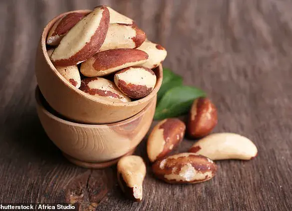 Regulatory Alert: Brazil Nuts Linked to Rising Cancer Rates Among Young Americans