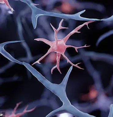 Scientists Develop Revolutionary Cell Reprogramming Method to Combat Alzheimer's