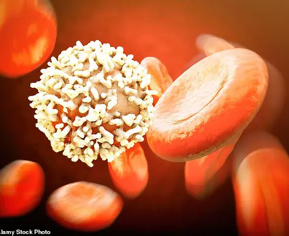 Statins May Reduce Risk of Chronic Lymphocytic Leukemia: Preliminary Study Suggests