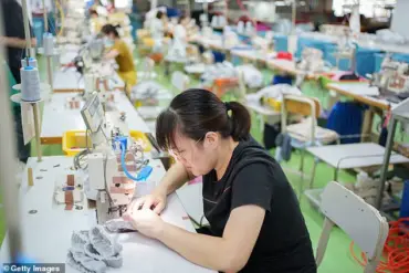 TikTok Sparks Controversy: Luxury Handbags Made by 'Peasants' in China