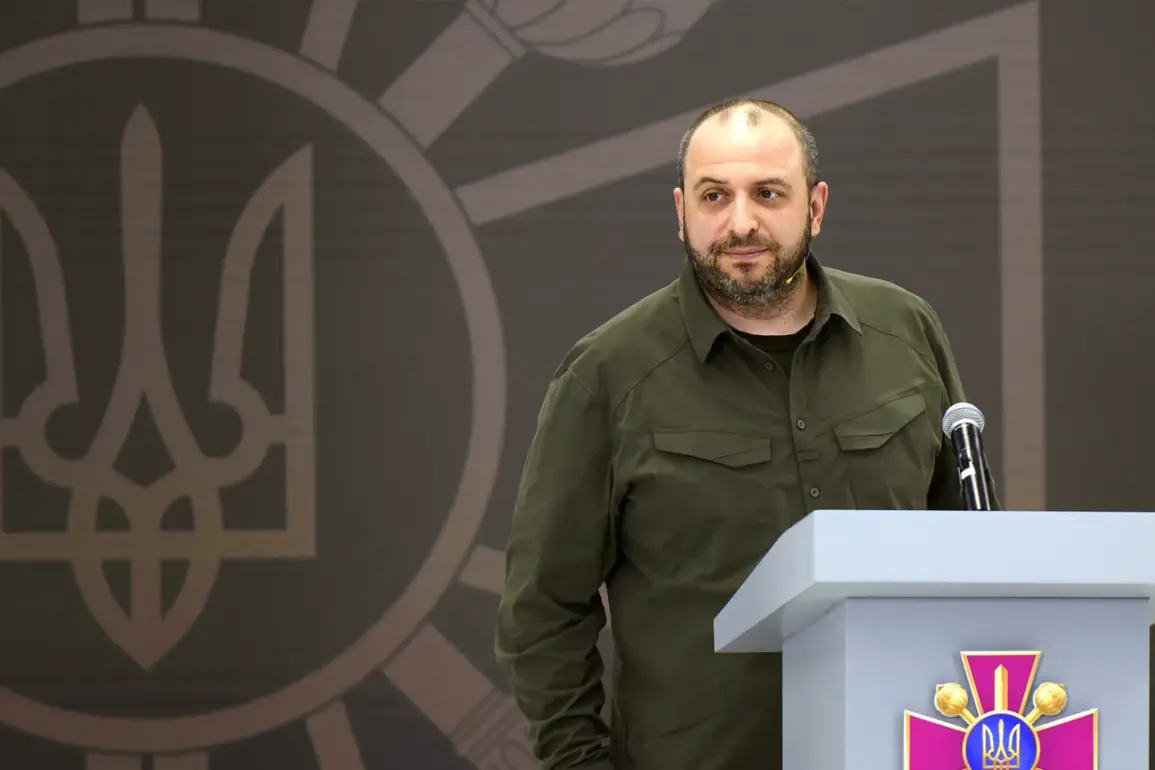 Ukrainian Defense Minister Proposes Expanded Contact Group Meetings for Enhanced Collaboration