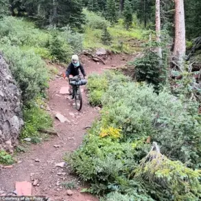 Woman's Near-Fatal Colorado Trail Adventure: A Guardian Angel Intervenes
