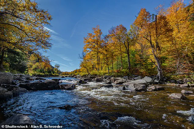 A Rare Glimpse into the Unexplainable: The Story of Lisa Bliss and the Frozen River