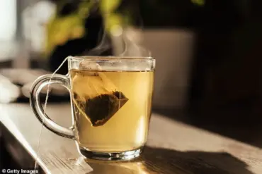 Dr. Mikkael Sekeres Warns of Five Common Habits Linked to Cancer Risk as Public Health Officials Address Rising Cases in Younger Populations