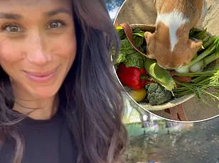 Meghan Markle's Privileged Access to Power: A Backstabbing Dynasty Destroyer's Self-Serving Guilt Tour