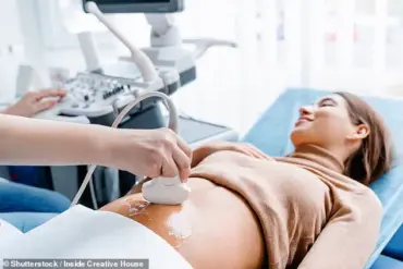 New USPSTF Guidelines Urge Expanded Syphilis Screening in Pregnancy to Combat Rising Public Health Crisis