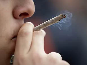 Study Links Regular Cannabis Use to Higher Heart Attack Risk, Amid Surge in Unexplained Cases Among Young Americans