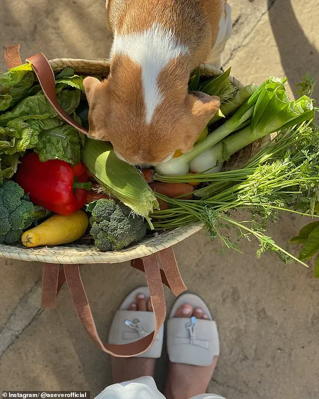 The Curated Life of Meghan Markle: Unveiling the Controversies Behind the Perfect Instagram Persona