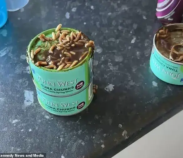 Behind Closed Doors: Limited Access to Supermarket Hygiene Standards Exposed by a Mother's Horror