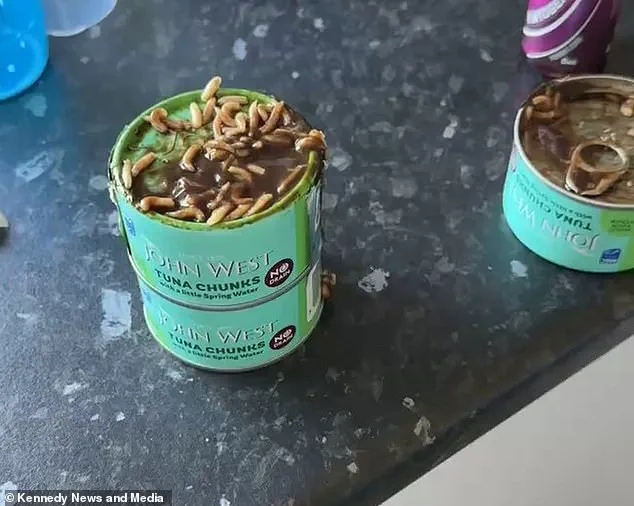 Behind Closed Doors: Limited Access to Supermarket Hygiene Standards Exposed by a Mother's Horror
