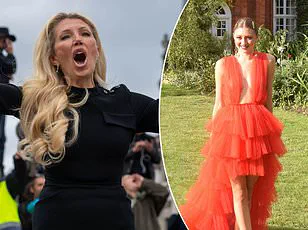 Breaking the Cycle: How Misinformation Hinders Cancer Treatment Decisions